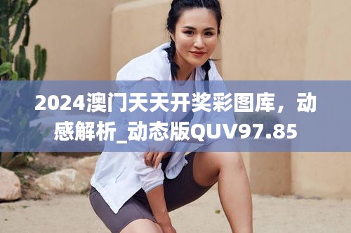 2024澳门天天开奖彩图库，动感解析_动态版QUV97.85