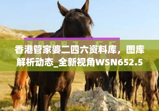 香港管家婆二四六资料库，图库解析动态_全新视角WSN652.57