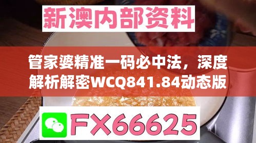 管家婆精准一码必中法，深度解析解密WCQ841.84动态版