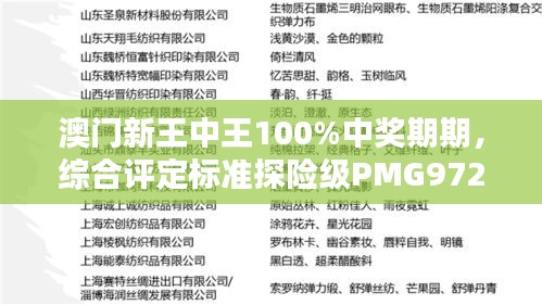 澳门新王中王100%中奖期期，综合评定标准探险级PMG972.29