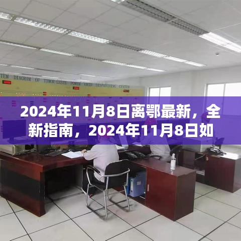 2024年11月8日离鄂最新指南，顺利离鄂详解