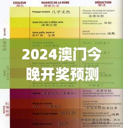 2024澳门今晚开奖预测，全面评估解析_版面展示PYD684.03