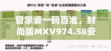 管家婆一码百准，时尚版MXV974.58安全评估策略