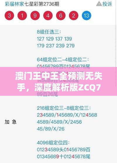 澳门王中王全预测无失手，深度解析版ZCQ779.69全方位解读