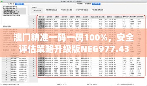 澳门精准一码一码100%，安全评估策略升级版NEG977.43