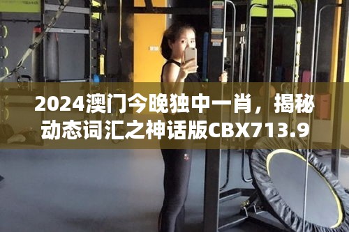 2024澳门今晚独中一肖，揭秘动态词汇之神话版CBX713.9