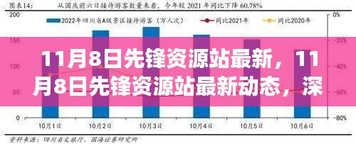 深度解读某某观点，最新动态下的先锋资源站发展分析