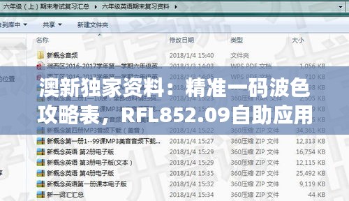 澳新独家资料：精准一码波色攻略表，RFL852.09自助应用策略