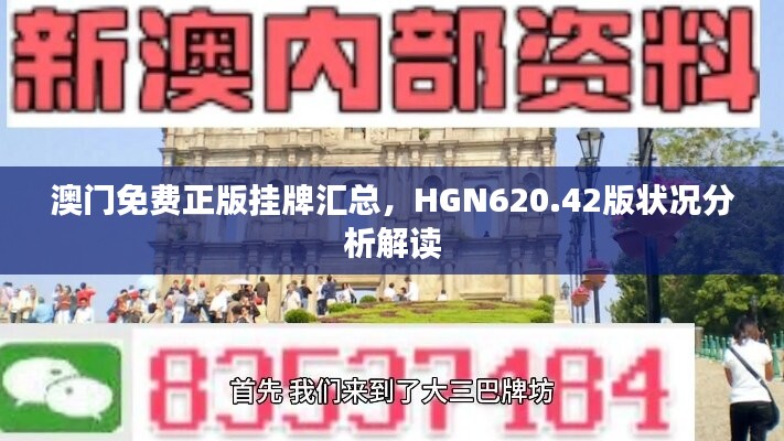 澳门免费正版挂牌汇总，HGN620.42版状况分析解读