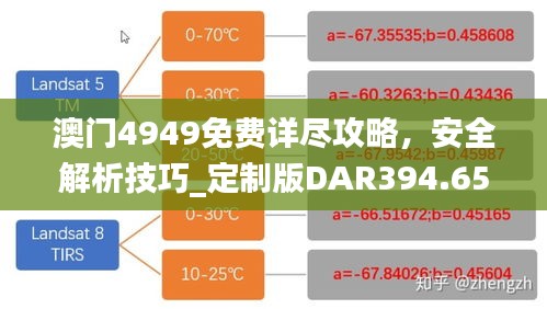 澳门4949免费详尽攻略，安全解析技巧_定制版DAR394.65