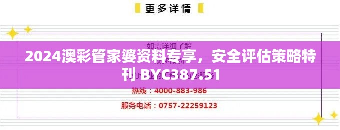 2024澳彩管家婆资料专享，安全评估策略特刊 BYC387.51