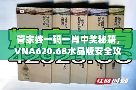 管家婆一码一肖中奖秘籍，VNA620.68水晶版安全攻略深度解析