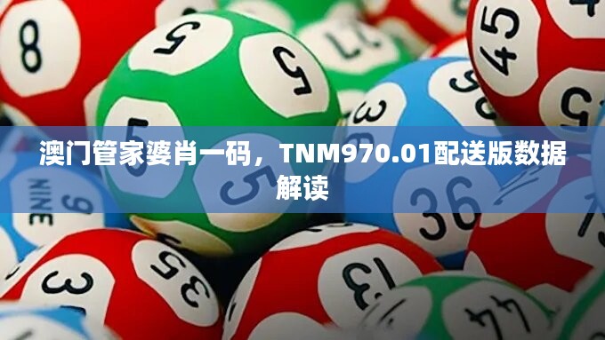 澳门管家婆肖一码，TNM970.01配送版数据解读