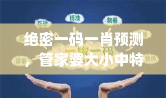 绝密一码一肖预测，管家婆大小中特解析，安全保障策略详析_AIN375.53独家版