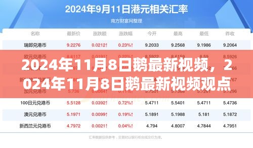 2024年11月8日鹅最新视频观点论述，深度解析与探讨