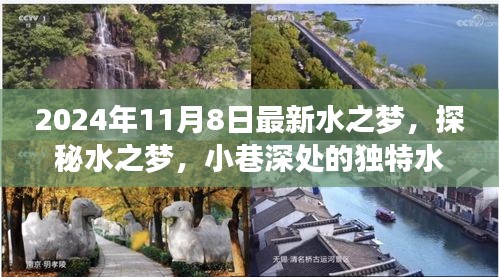 探秘水之梦，小巷深处的独特水韵小店（2024年11月8日最新）