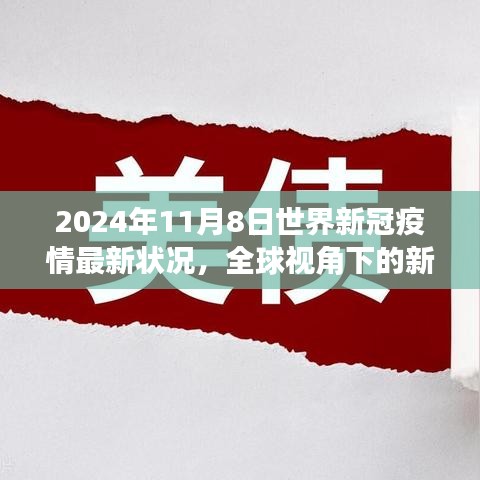 全球视角下的新冠疫情最新动态，至2024年11月8日的最新状况与观点解析