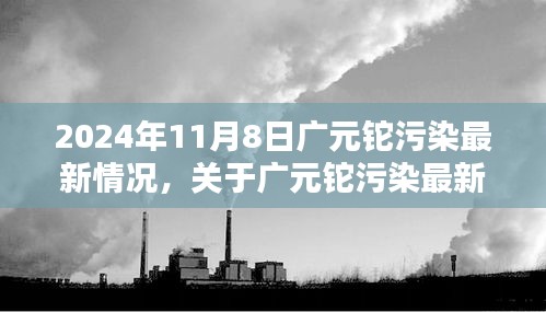 广元铊污染最新动态，应对与防范的全面指南（2024年11月版）