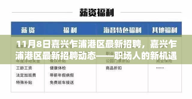 嘉兴乍浦港区最新招聘动态，新机遇与挑战，职场人的求职指南