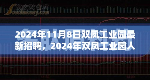 双凤工业园人才盛宴，最新招聘动态与职业机遇探索（2024年）