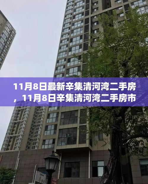 辛集清河湾二手房市场最新动态（11月8日更新）