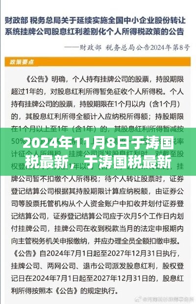 财税改革深度探讨，于涛国税最新动态（2024年11月8日）