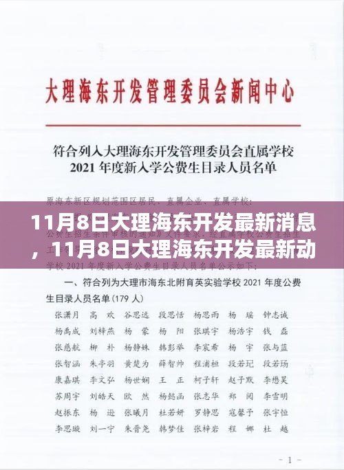 揭秘大理海东新区11月8日最新开发动态，蓬勃发展势头强劲