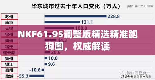 NKF61.95调整版精选精准跑狗图，权威解读