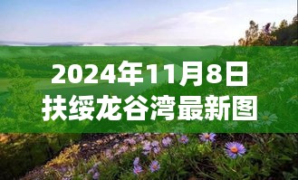 扶绥龙谷湾最新画卷，2024年11月8日一览