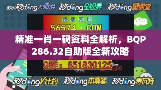 精准一肖一码资料全解析，BQP286.32自助版全新攻略