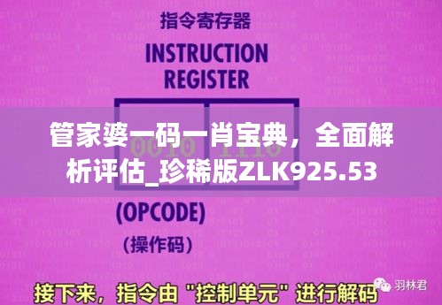 管家婆一码一肖宝典，全面解析评估_珍稀版ZLK925.53