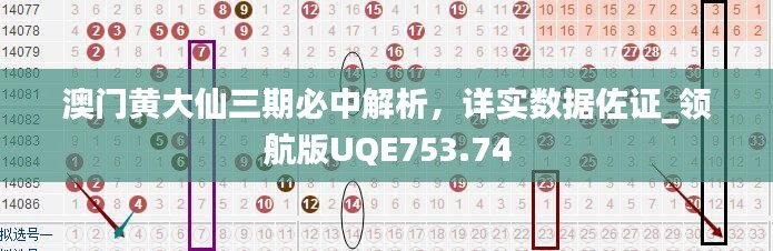 澳门黄大仙三期必中解析，详实数据佐证_领航版UQE753.74