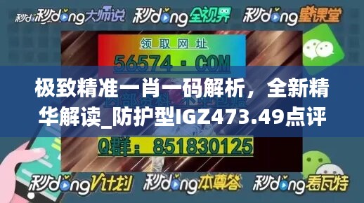 极致精准一肖一码解析，全新精华解读_防护型IGZ473.49点评