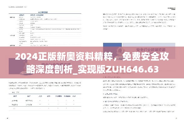 2024正版新奥资料精粹，免费安全攻略深度剖析_实现版ZUH646.63