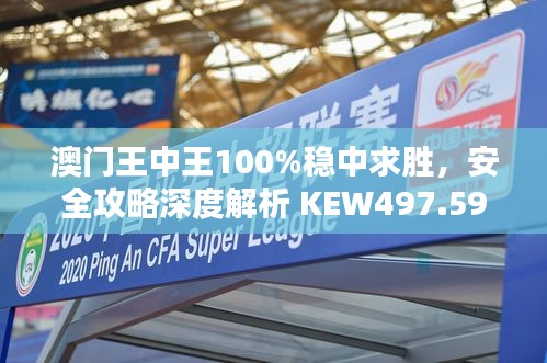 澳门王中王100%稳中求胜，安全攻略深度解析 KEW497.59