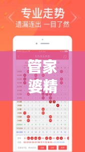 管家婆精准一码必中，深度解析版YBT404.84——付费版