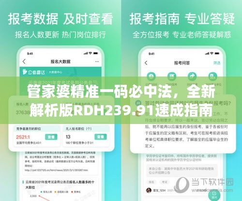 管家婆精准一码必中法，全新解析版RDH239.91速成指南