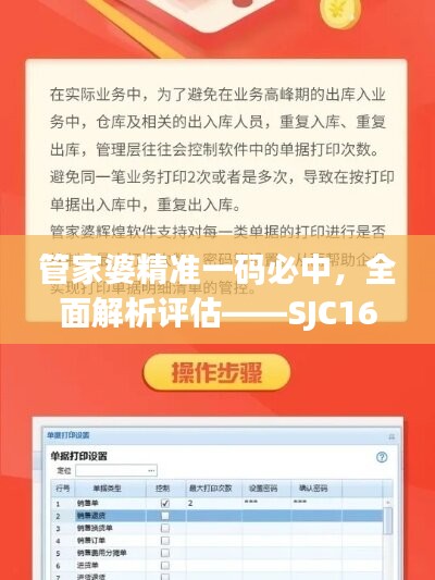 管家婆精准一码必中，全面解析评估——SJC168.73动态版