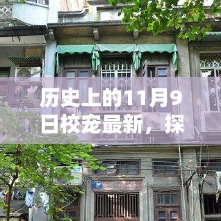 探秘小巷深处的隐藏瑰宝，揭秘历史最新校宠特色小店（11月9日更新）