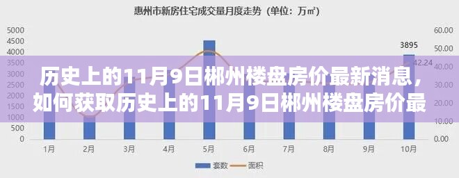 历史上的11月9日郴州楼盘房价最新消息全解析，获取指南与初学者步骤