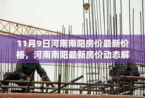 河南南阳最新房价动态解析，深度探索市场现状与最新价格趋势（11月9日）