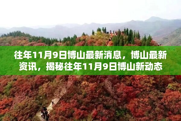 揭秘，往年11月9日博山最新动态与资讯速递