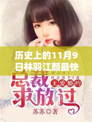 11月9日林羽江颜温馨日常与欢乐时光，最新章节列表