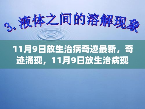 11月9日放生治病奇迹涌现，背后的故事与启示