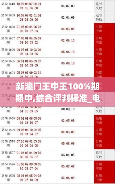 新澳门王中王100%期期中,综合评判标准_电商版74.76