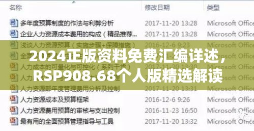 2024正版资料免费汇编详述，RSP908.68个人版精选解读