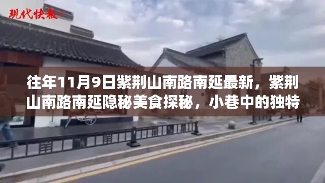 紫荆山南路南延，美食探秘与小巷独特风味之旅