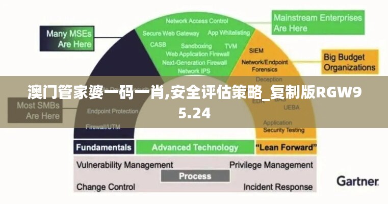 澳门管家婆一码一肖,安全评估策略_复制版RGW95.24