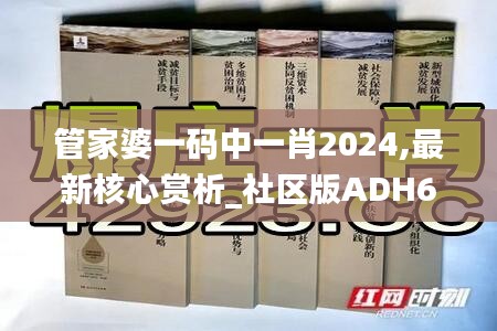 管家婆一码中一肖2024,最新核心赏析_社区版ADH667.22