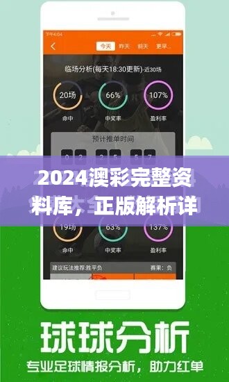 2024澳彩完整资料库，正版解析详述_力量版CAP373.36